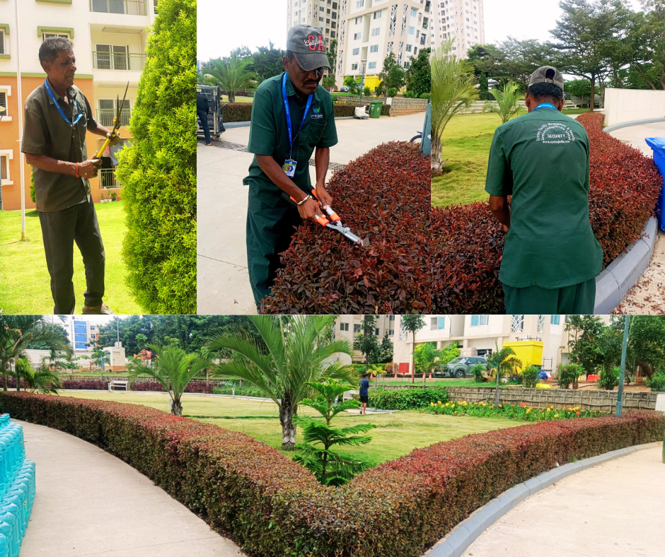 🌿 SYSTEQIndia: Redefining Professional Gardening & Landscape Maintenance with Care, Precision, and Sustainability